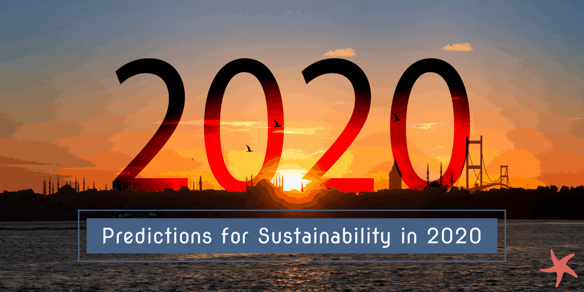 Our Predictions for Sustainability in 2020