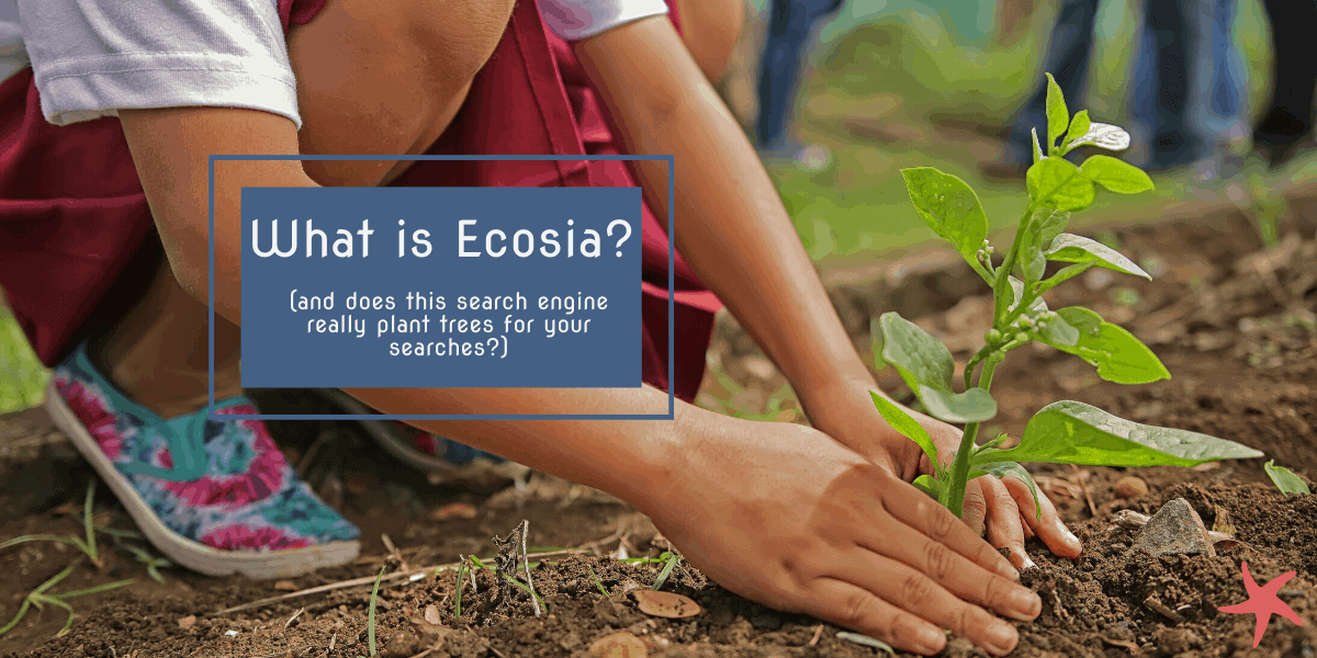 Blog Post Featured Image Ecosia