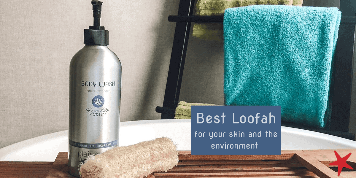 Blog Post Featured Image Loofah