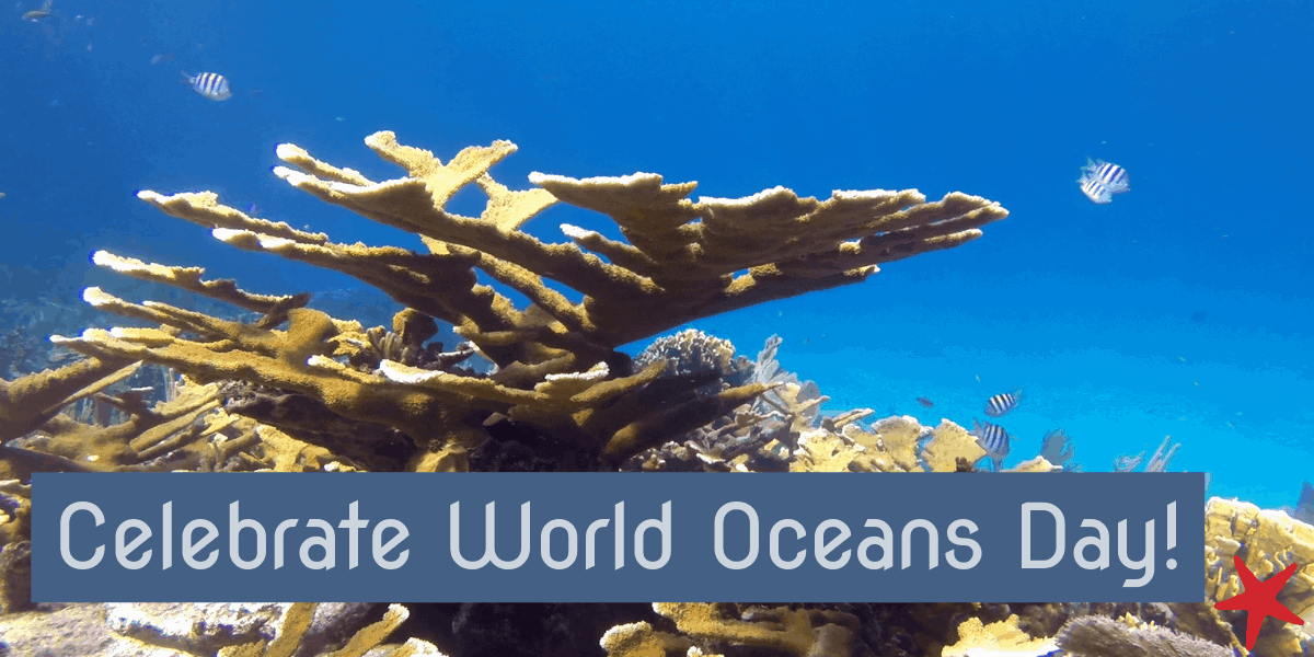 Celebrate World Oceans Day