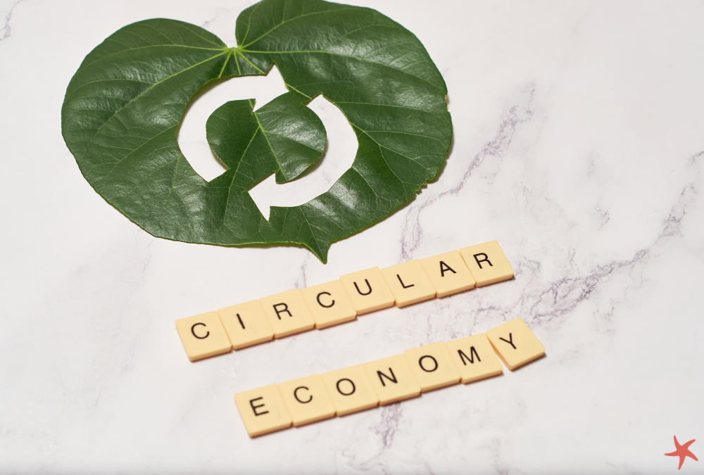 Circular economy Blog Banner