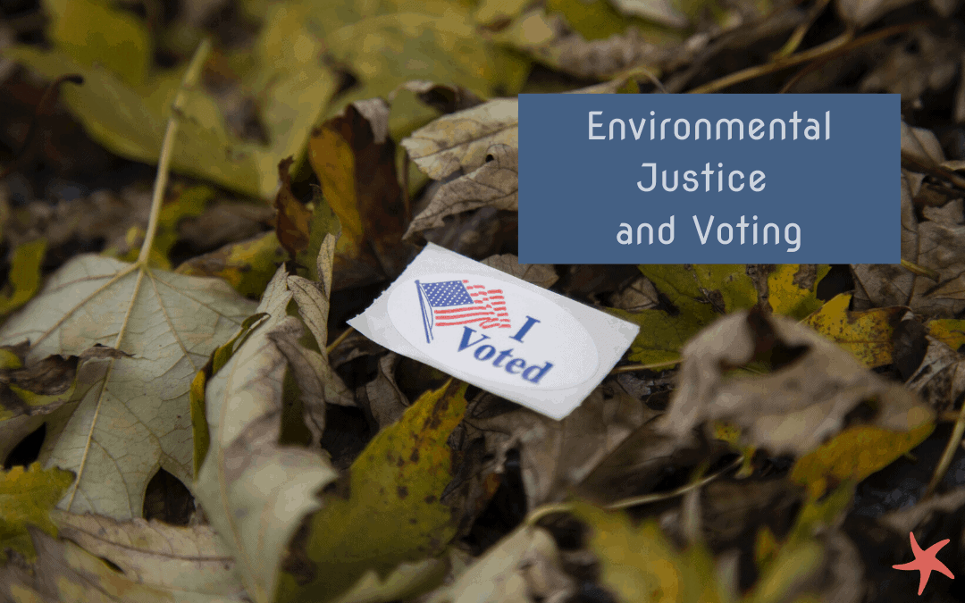 Environmental Justice and Voting Blog cover