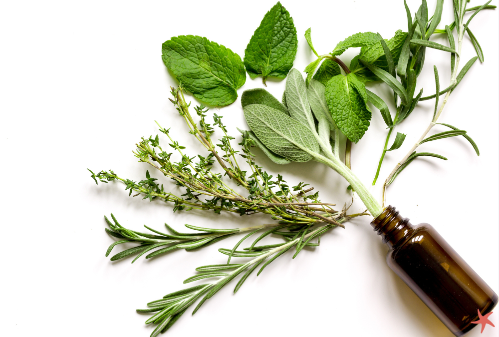 LivHolistic RMV blog banner