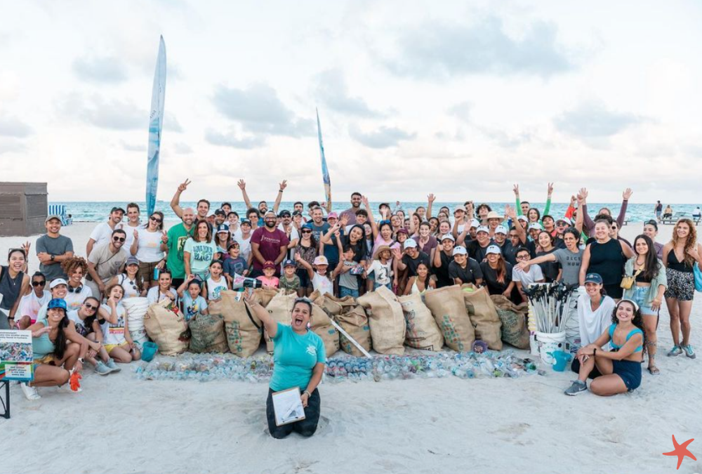 Progress With Plaine April Update Blog Post