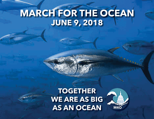 Together-tuna-M4O_web