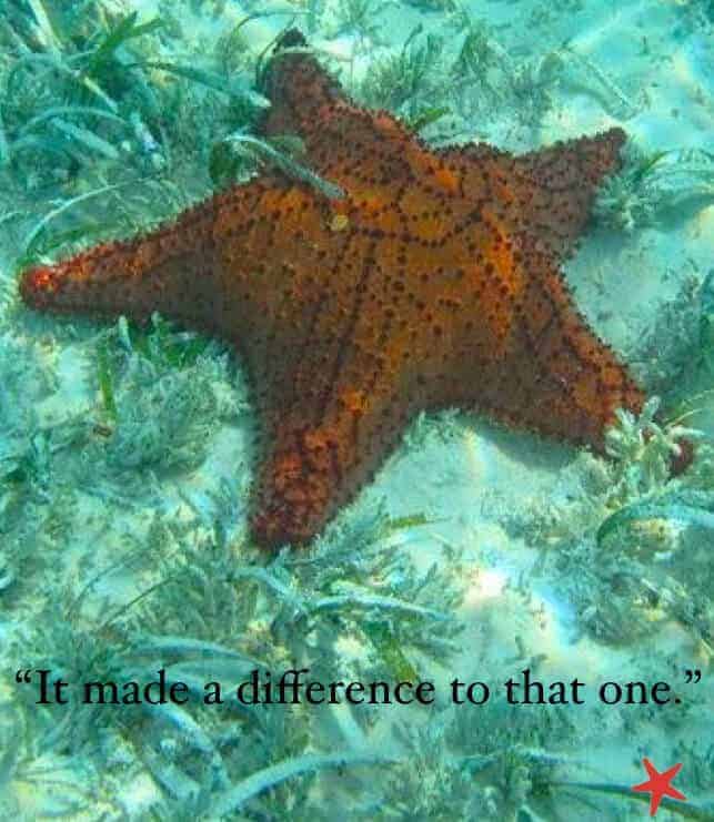 Make a Difference, Choose to reuse