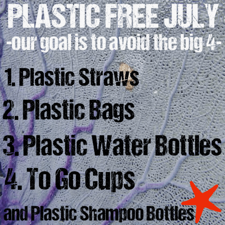 Plastic-Free july