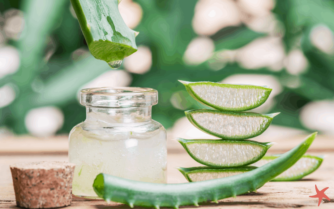 Aloe Main Ingredient Blog Banner