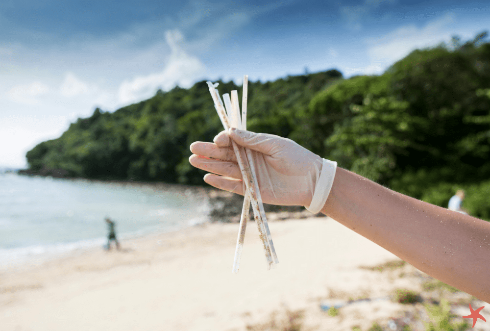 Beach Cleanup Blog Banner