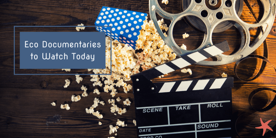 Eco Documentaries to Watch Today