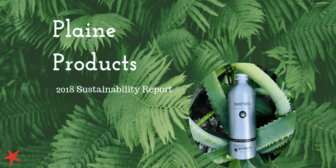 Blog cover Plaine Products 2018 Sustainability Report