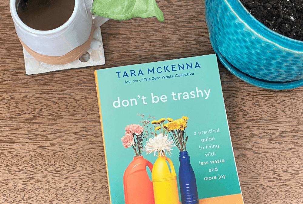 Dont Be Trashy blog banner