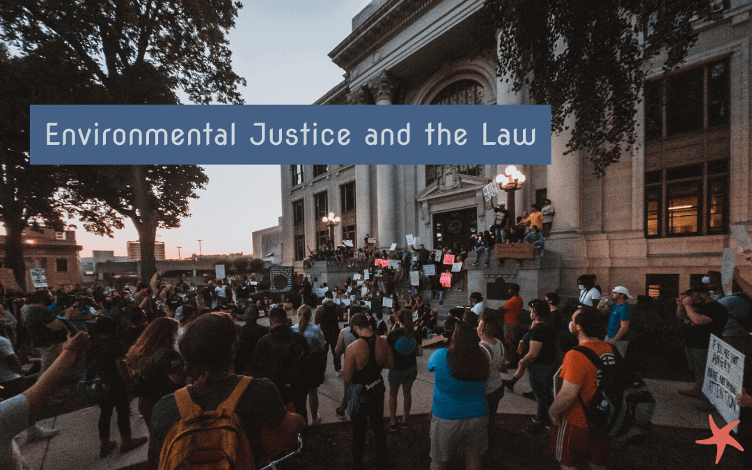 Environmental Justice and the Law blog banner