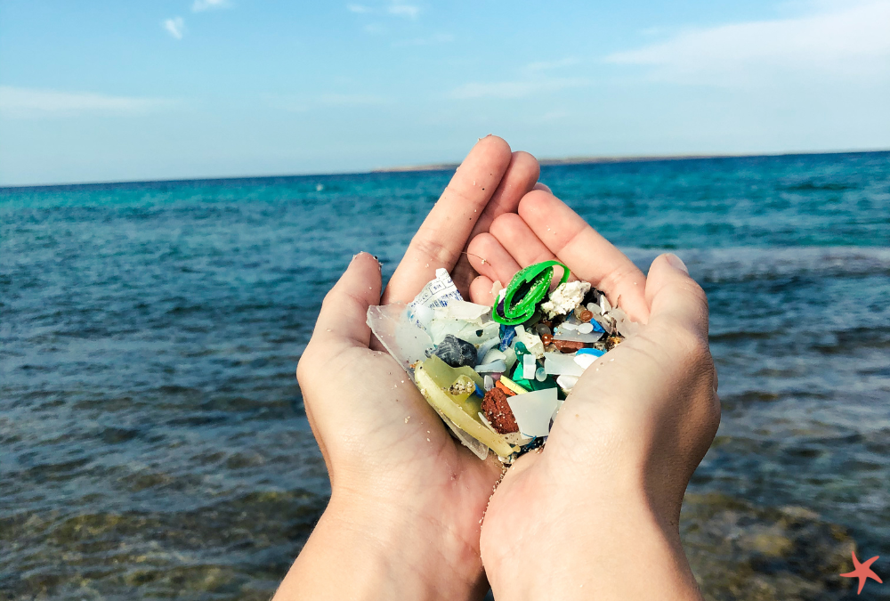 Plastic Impact on Human Health Blog Banner