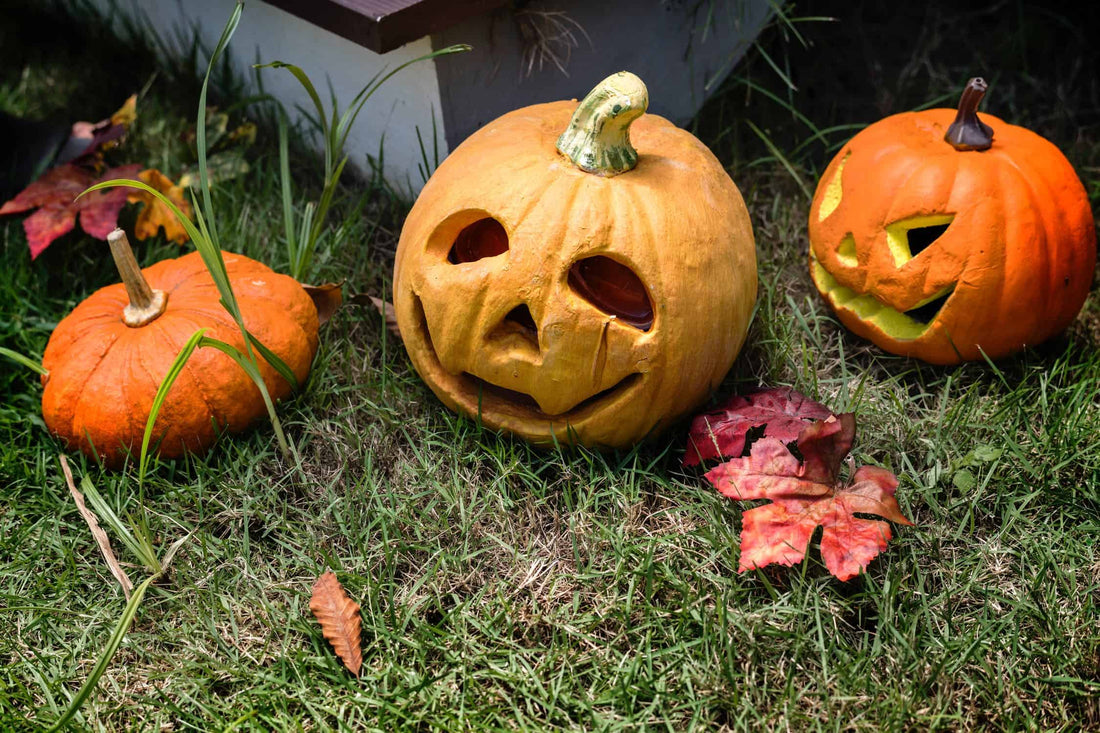 Plastic free Halloween