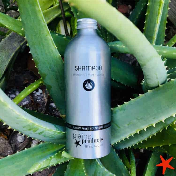 aloe 63671