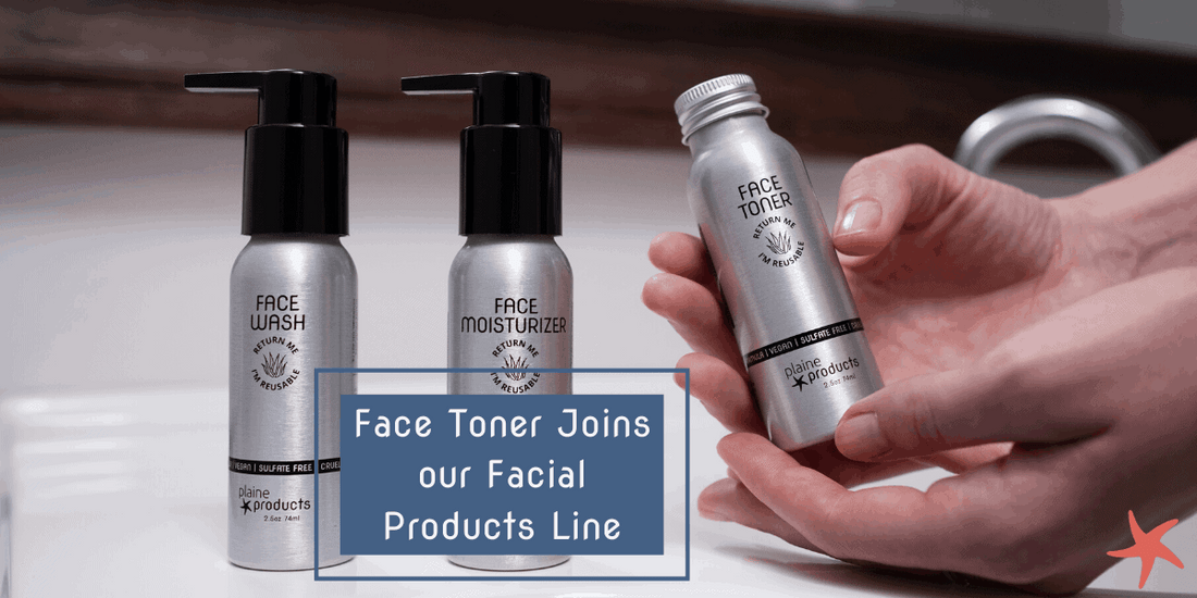 face toner blog post