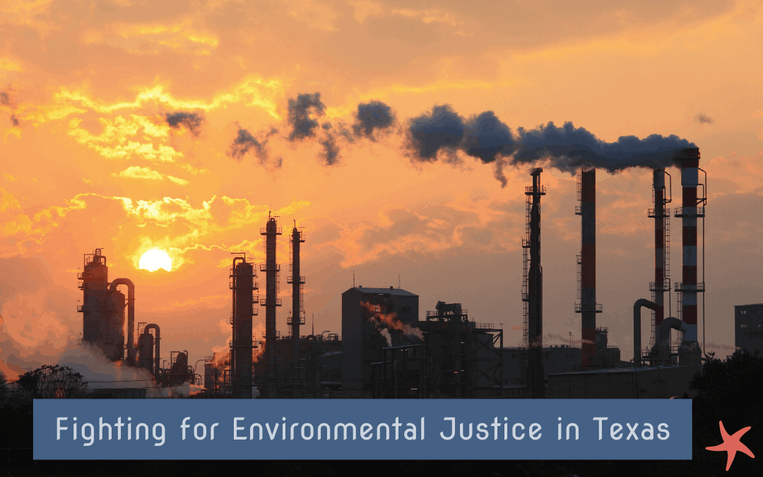 tejas and environmental justice